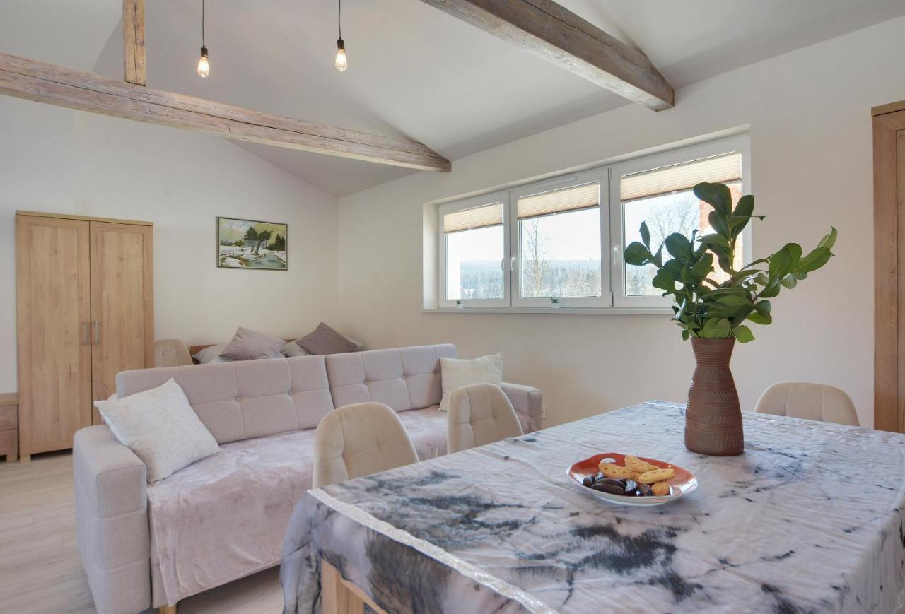 Apartament Sniezna Polana - 2-Pietrowy Apartament Idealny Dla Duzej Rodziny! Sklářská Poruba Exteriér fotografie