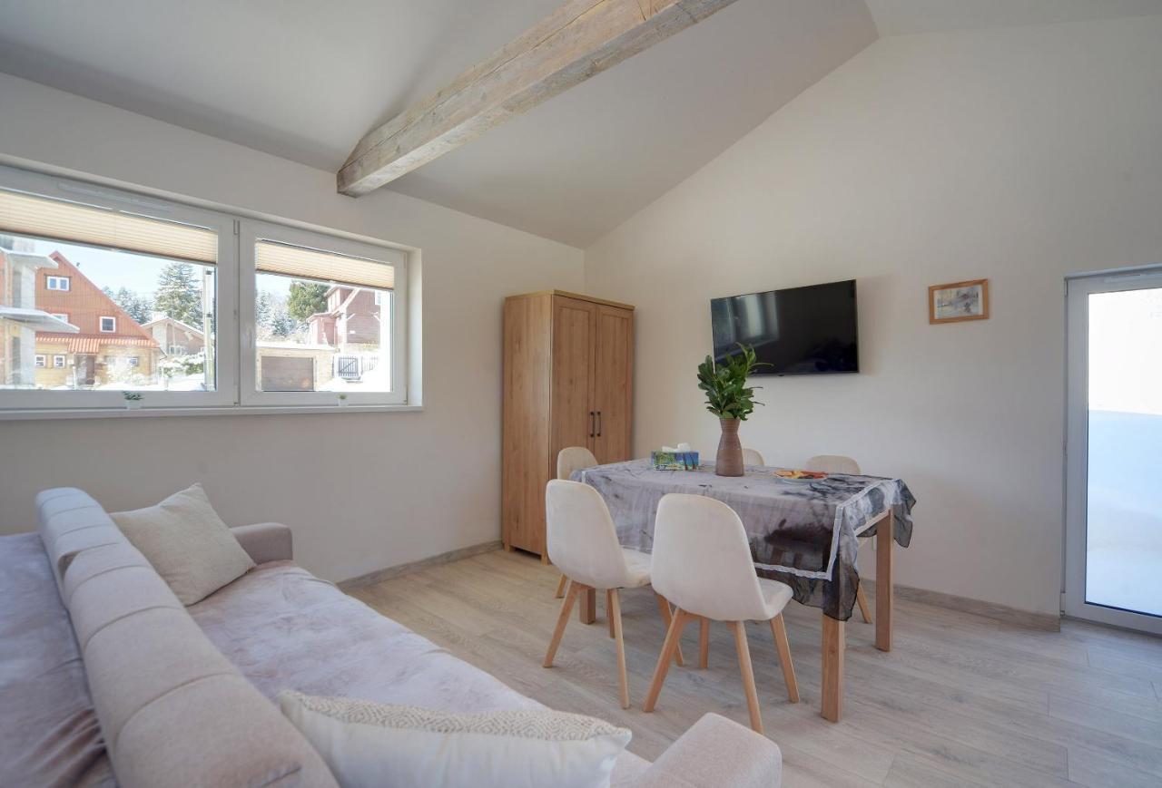 Apartament Sniezna Polana - 2-Pietrowy Apartament Idealny Dla Duzej Rodziny! Sklářská Poruba Exteriér fotografie